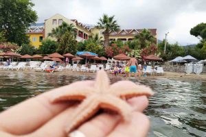 erdek ocaklar otelleri